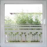 Field of Marguerites Windowtattoo